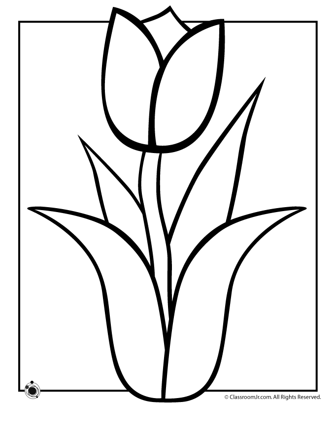 Раскраска: тюльпан (природа) #161699 - Бесплатные раскраски для печати