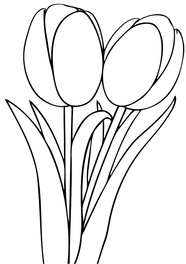 Раскраска: тюльпан (природа) #161700 - Бесплатные раскраски для печати