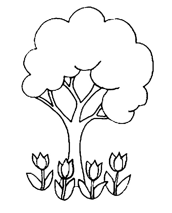 Раскраска: тюльпан (природа) #161705 - Бесплатные раскраски для печати
