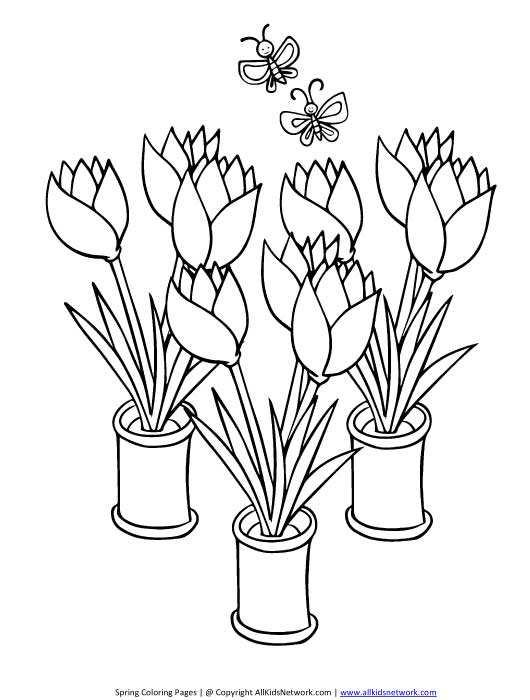 Раскраска: тюльпан (природа) #161714 - Бесплатные раскраски для печати