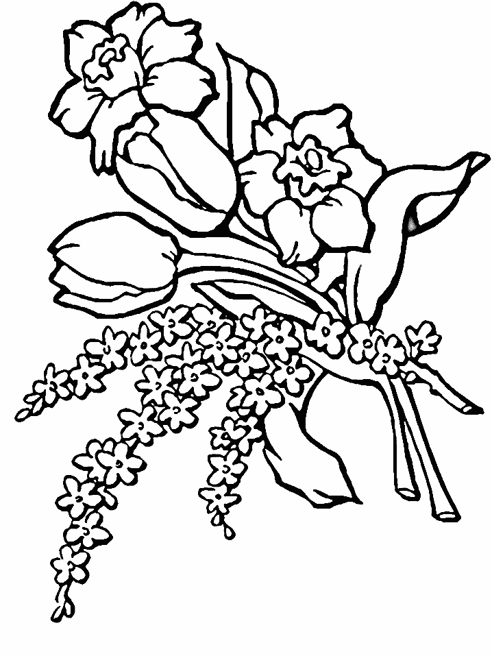 Раскраска: тюльпан (природа) #161715 - Бесплатные раскраски для печати