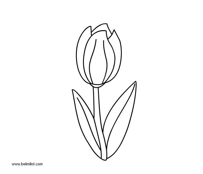 Раскраска: тюльпан (природа) #161723 - Бесплатные раскраски для печати