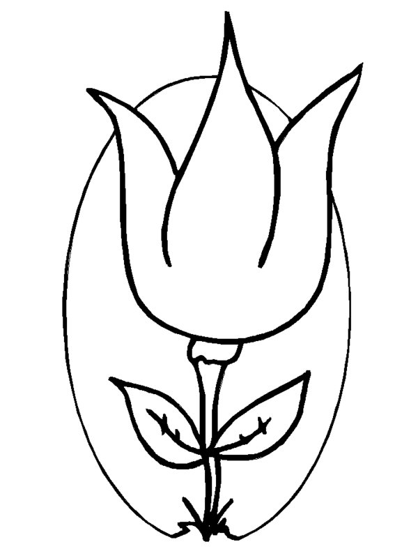 Раскраска: тюльпан (природа) #161736 - Бесплатные раскраски для печати
