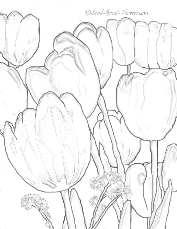 Раскраска: тюльпан (природа) #161750 - Бесплатные раскраски для печати