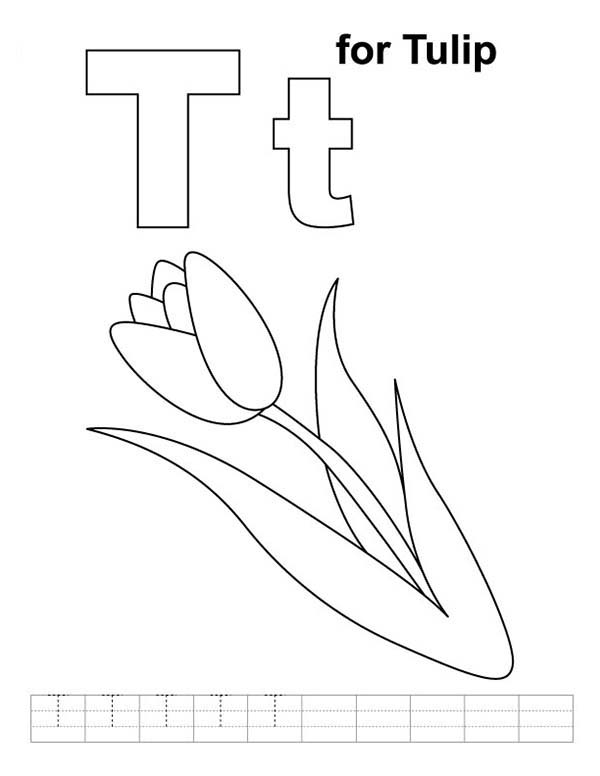 Раскраска: тюльпан (природа) #161796 - Бесплатные раскраски для печати