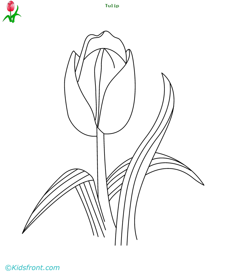 Раскраска: тюльпан (природа) #161797 - Бесплатные раскраски для печати