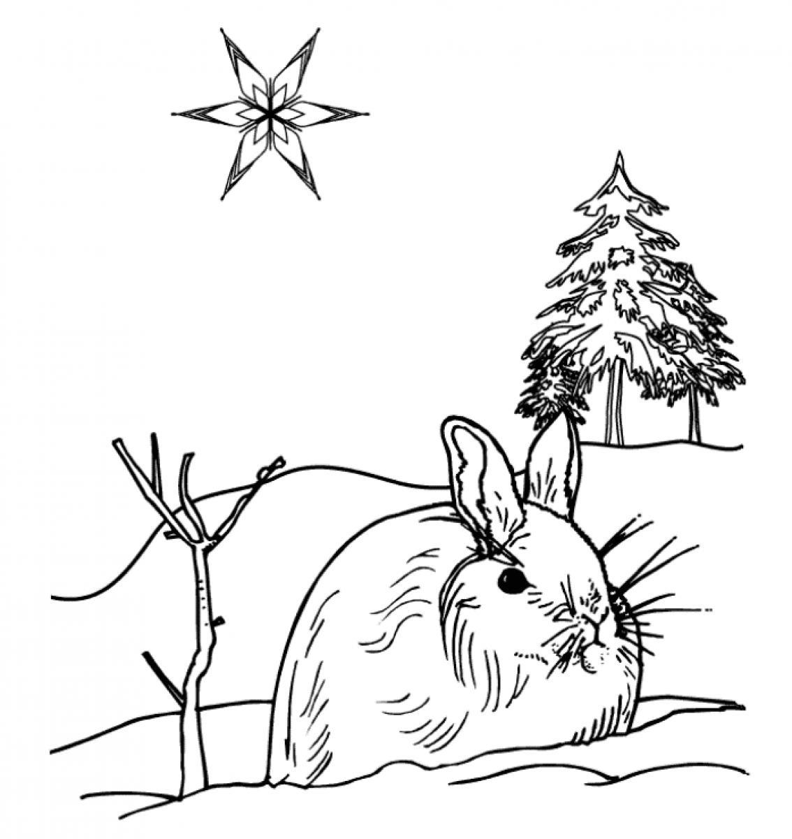 Раскраска: Зимний сезон (природа) #164716 - Бесплатные раскраски для печати
