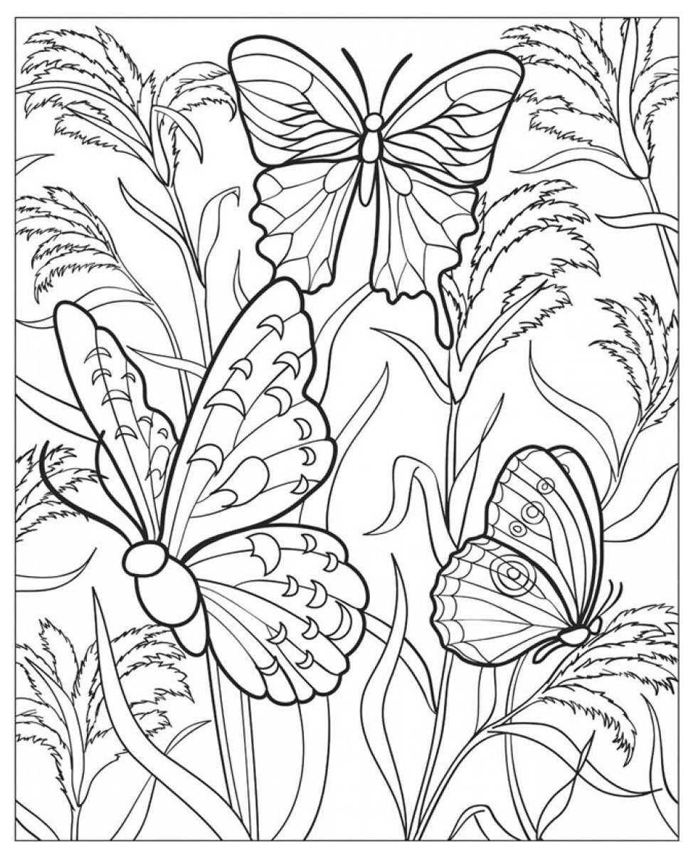 Раскраски для девочек цветы и бабочки