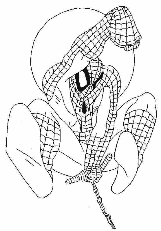 Раскраска: человек-паук (Супер герой) #78678 - Бесплатные раскраски для печати