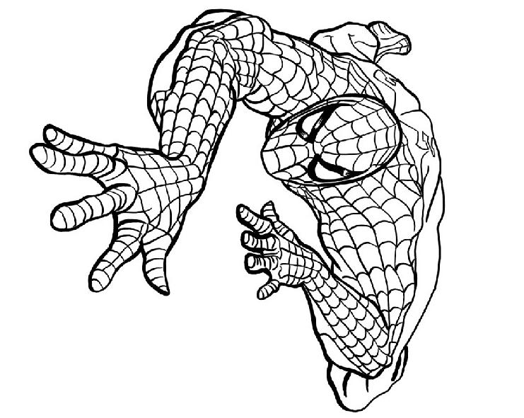 Раскраска: человек-паук (Супер герой) #78701 - Бесплатные раскраски для печати