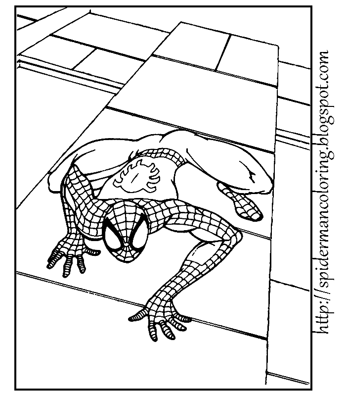 Раскраска: человек-паук (Супер герой) #78766 - Бесплатные раскраски для печати
