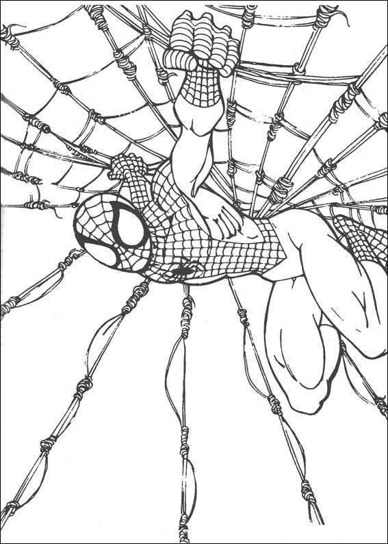 Раскраска: человек-паук (Супер герой) #78793 - Бесплатные раскраски для печати