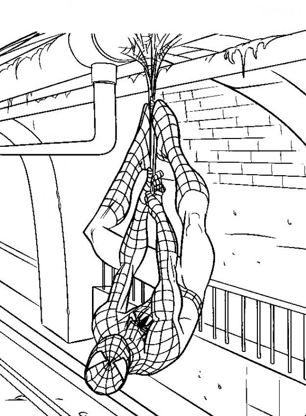Раскраска: человек-паук (Супер герой) #78898 - Бесплатные раскраски для печати