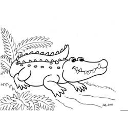 Раскраска: аллигатор (Животные) #396 - Раскраски для печати
