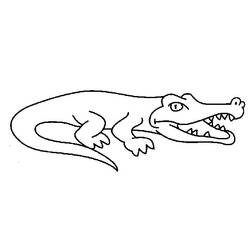Раскраска: аллигатор (Животные) #413 - Раскраски для печати