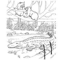 Раскраска: аллигатор (Животные) #421 - Раскраски для печати
