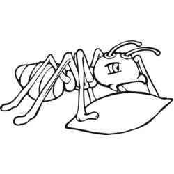 Раскраска: муравей (Животные) #6920 - Раскраски для печати