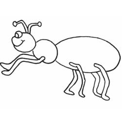 Раскраска: муравей (Животные) #6933 - Раскраски для печати