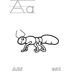 Раскраска: муравей (Животные) #6946 - Бесплатные раскраски для печати