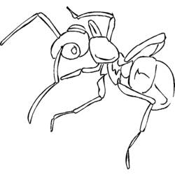Раскраска: муравей (Животные) #6961 - Бесплатные раскраски для печати