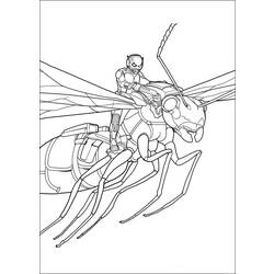 Раскраска: муравей (Животные) #6976 - Бесплатные раскраски для печати