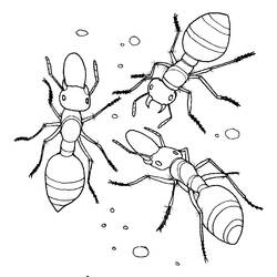 Раскраска: муравей (Животные) #6993 - Раскраски для печати