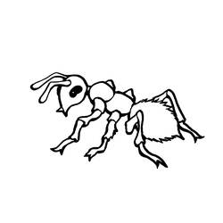 Раскраска: муравей (Животные) #7001 - Раскраски для печати