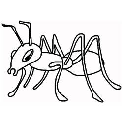 Раскраски: муравей - Раскраски для печати
