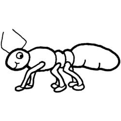 Раскраска: муравей (Животные) #7028 - Раскраски для печати