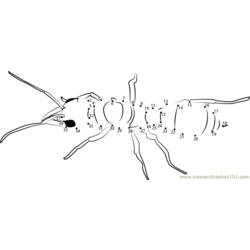 Раскраска: муравей (Животные) #7032 - Бесплатные раскраски для печати