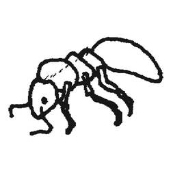 Раскраска: муравей (Животные) #7038 - Бесплатные раскраски для печати