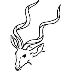 Раскраска: антилопа (Животные) #22590 - Раскраски для печати