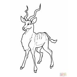 Раскраска: антилопа (Животные) #22598 - Раскраски для печати