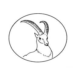 Раскраска: антилопа (Животные) #22602 - Раскраски для печати