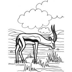 Раскраска: антилопа (Животные) #22608 - Раскраски для печати