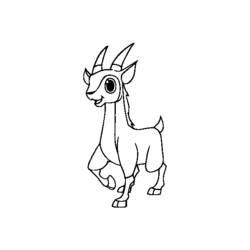 Раскраска: антилопа (Животные) #22624 - Раскраски для печати