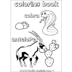 Раскраска: антилопа (Животные) #22643 - Бесплатные раскраски для печати