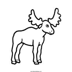 Раскраска: антилопа (Животные) #22653 - Раскраски для печати