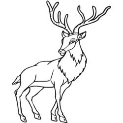 Раскраска: антилопа (Животные) #22659 - Раскраски для печати