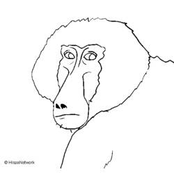 Раскраска: бабуин (Животные) #777 - Раскраски для печати