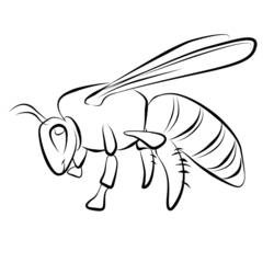 Раскраска: пчела (Животные) #101 - Раскраски для печати
