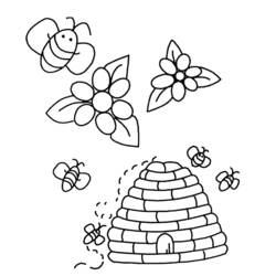 Раскраска: пчела (Животные) #117 - Раскраски для печати
