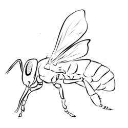 Раскраска: пчела (Животные) #125 - Раскраски для печати