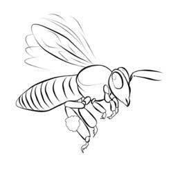 Раскраска: пчела (Животные) #126 - Раскраски для печати