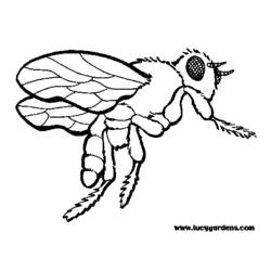 Раскраска: пчела (Животные) #161 - Бесплатные раскраски для печати