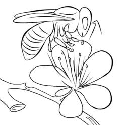 Раскраска: пчела (Животные) #83 - Раскраски для печати