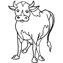 Раскраска: говядина (Животные) #1344 - Раскраски для печати