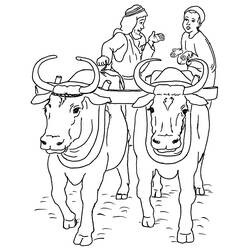 Раскраска: говядина (Животные) #1356 - Раскраски для печати