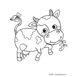 Раскраска: говядина (Животные) #1375 - Раскраски для печати