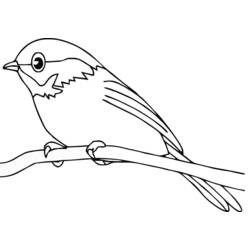 Раскраска: домашняя птица (Животные) #11840 - Раскраски для печати